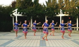 广场舞视频大全,视频大全精彩回顾